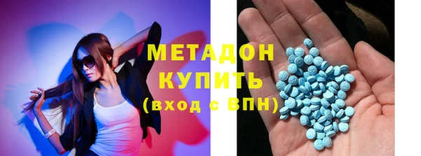 шишки Арсеньев