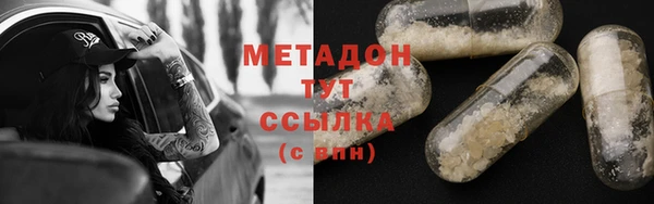 шишки Арсеньев