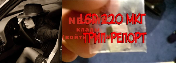 индика Снежногорск