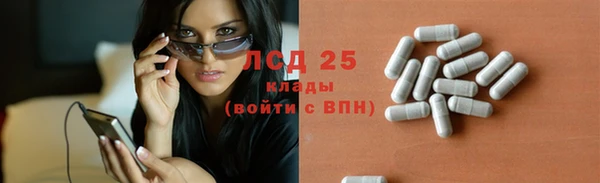 индика Снежногорск