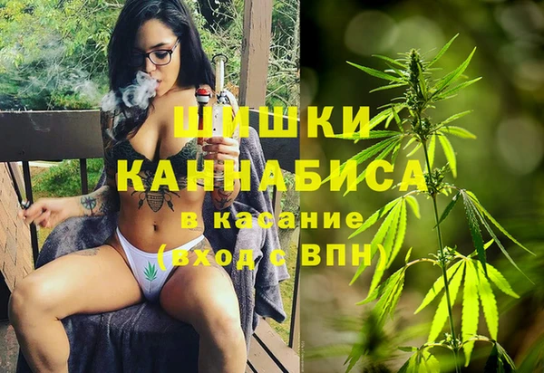 ГАЛЛЮЦИНОГЕННЫЕ ГРИБЫ Алексин