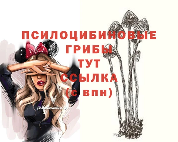 ECSTASY Армянск