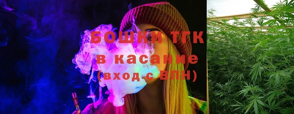 индика Снежногорск