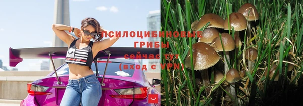 тгк Аркадак