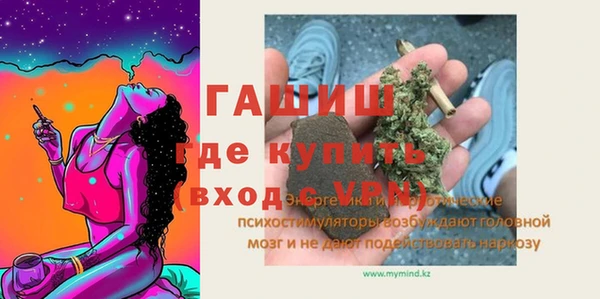 шишки Арсеньев