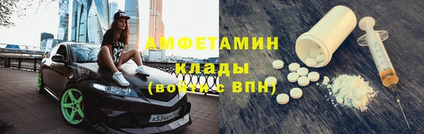 шишки Арсеньев